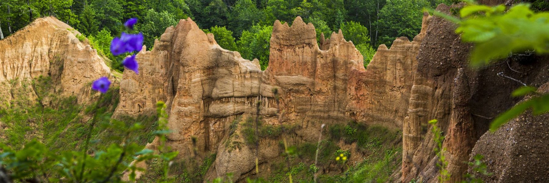 pescane piramide, danicici, foca