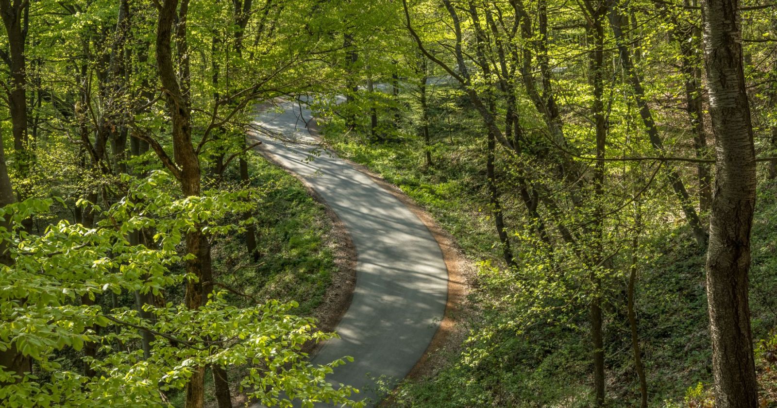 Planina Bukulja