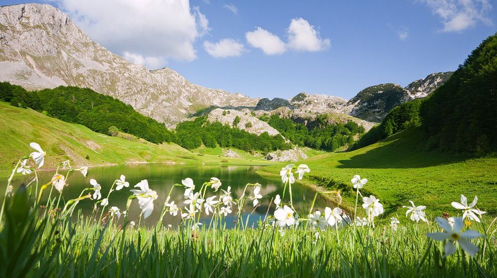 orlovacko jezero, zelengora