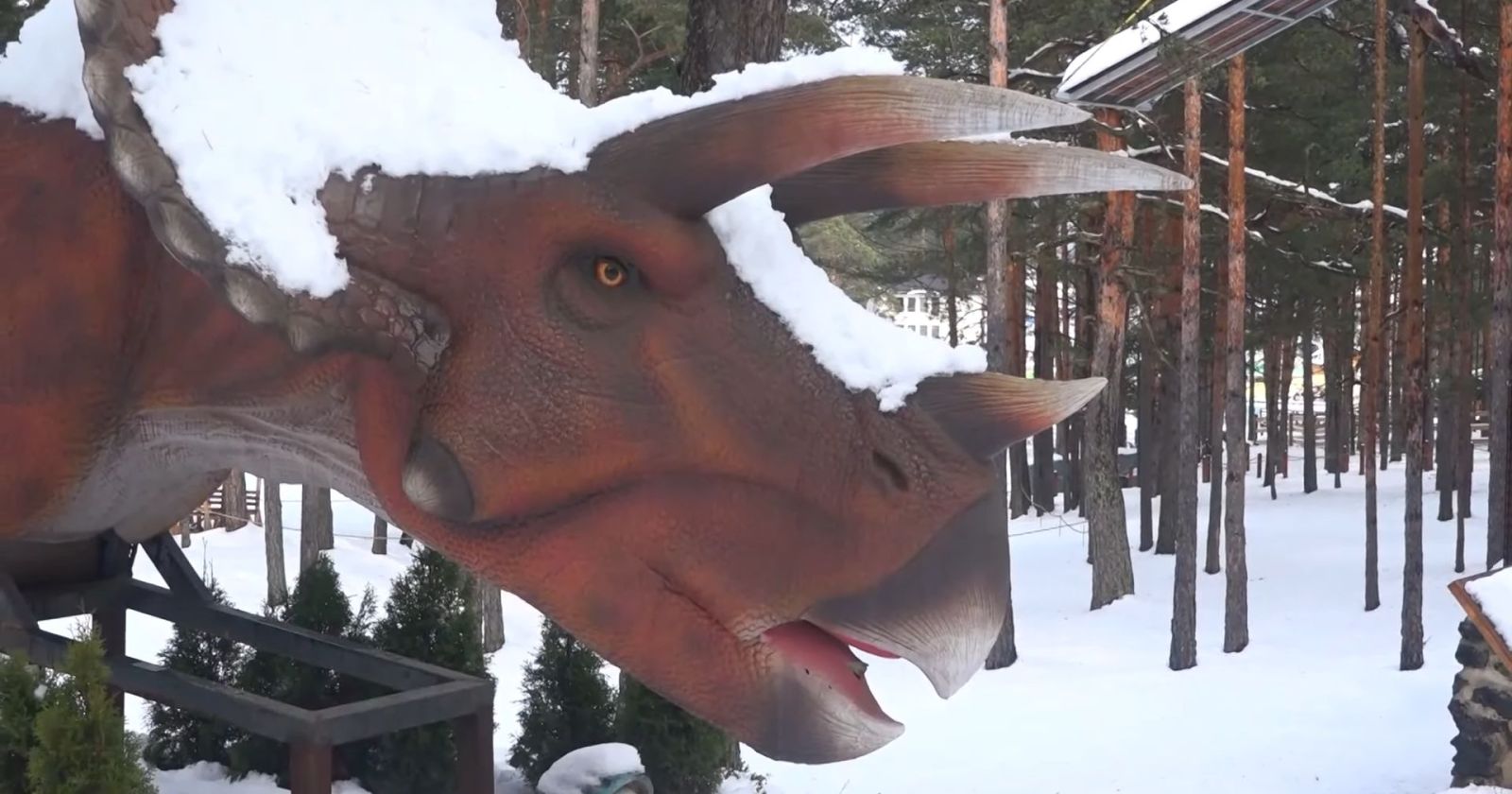 Dino park