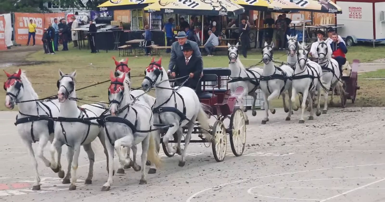 Velikogospojinski dani