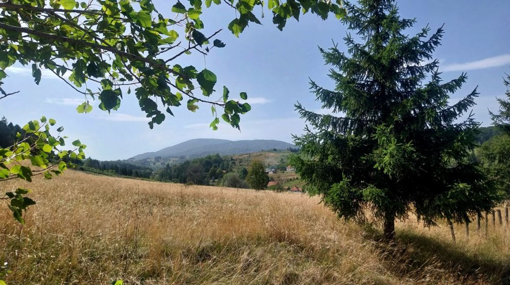 planina goc, vrnjacka banja