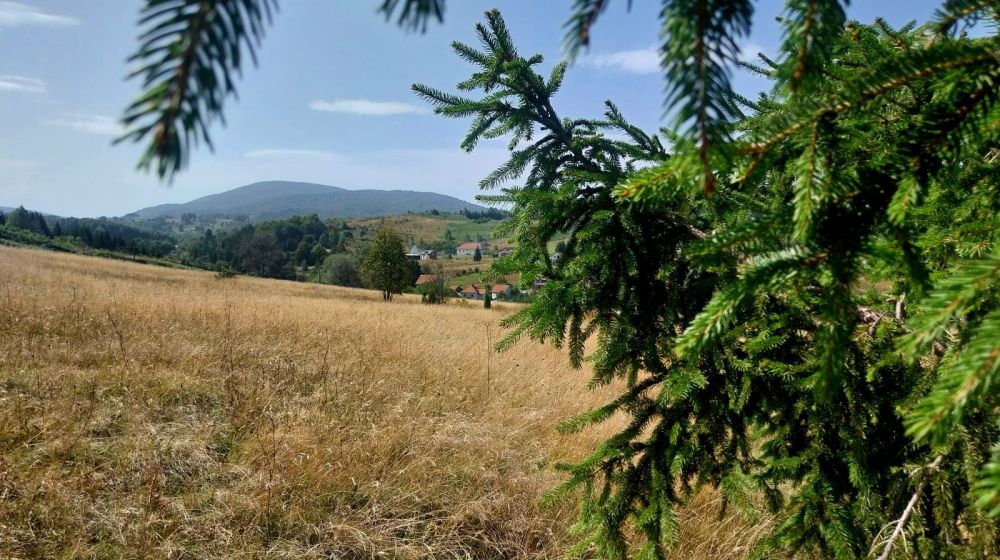 planina goc, vrnjacka banja