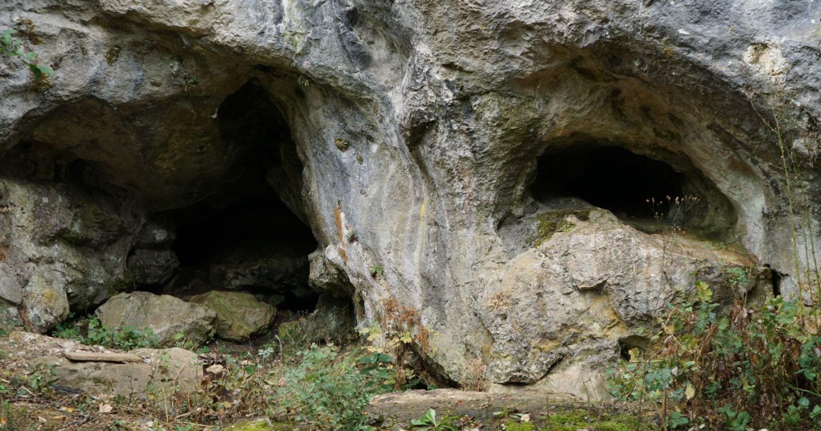 Pećina pod lipom