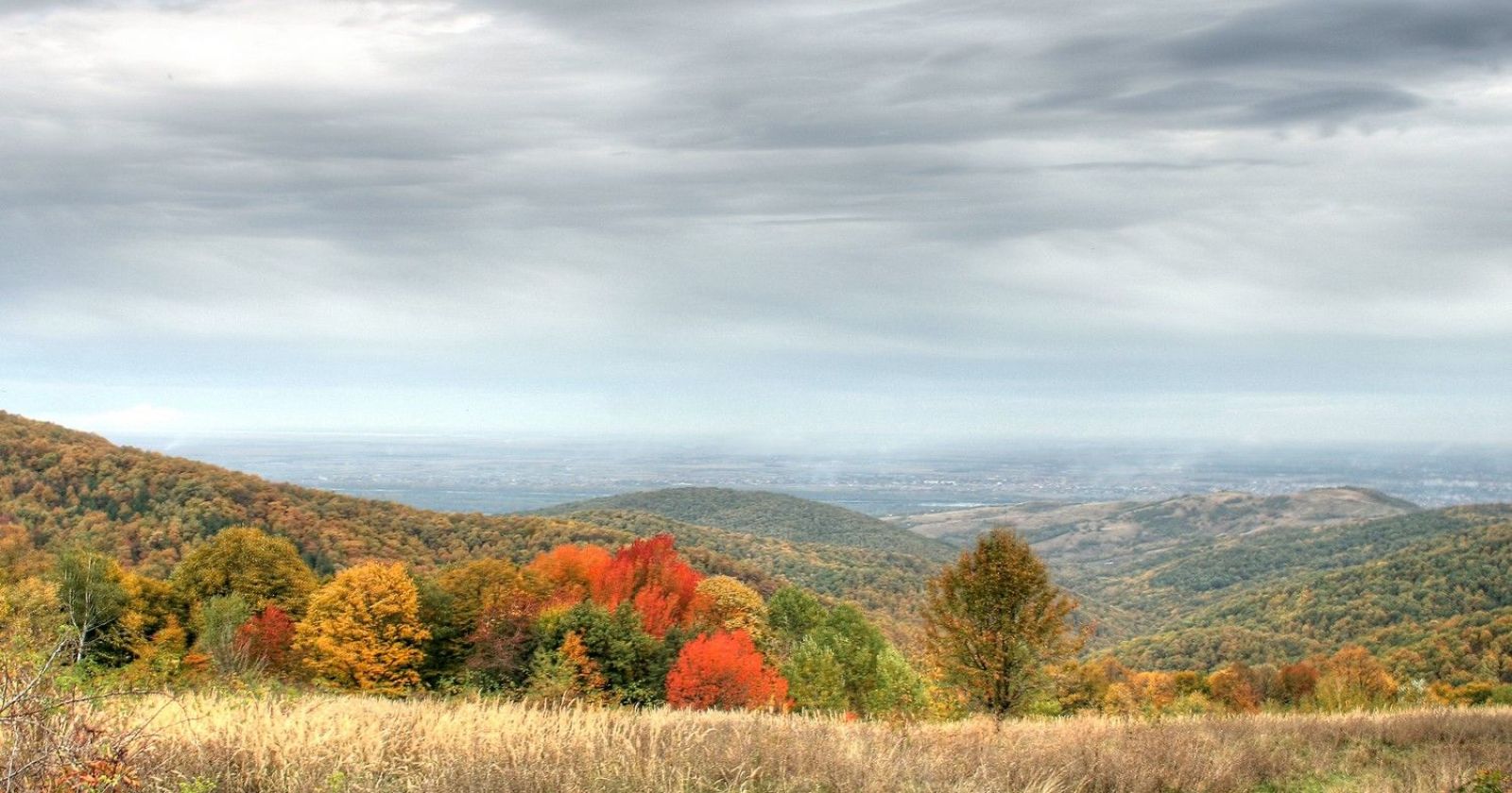 Brankovac
