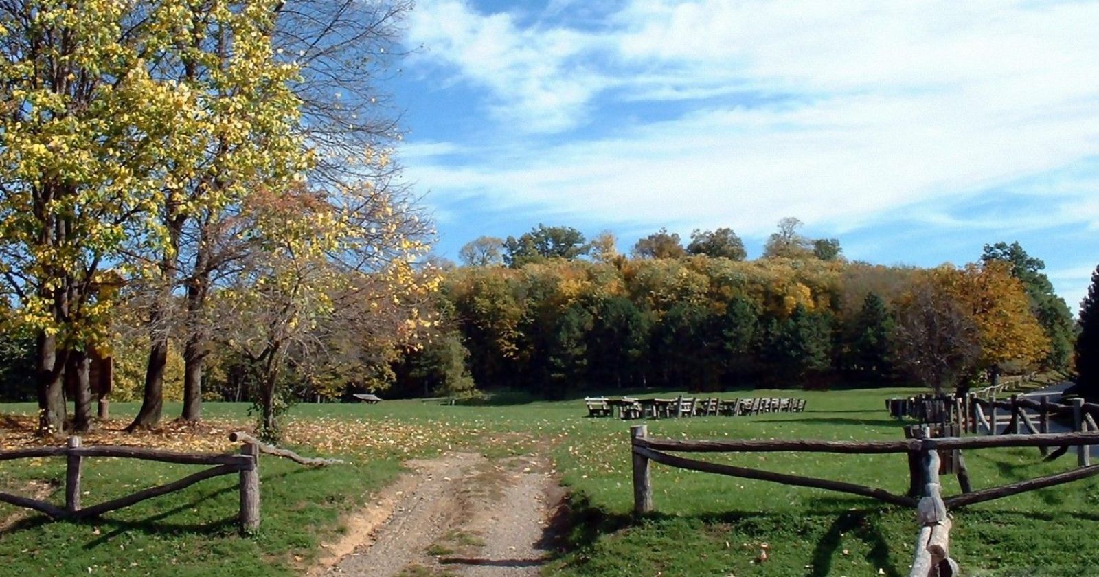Letenka