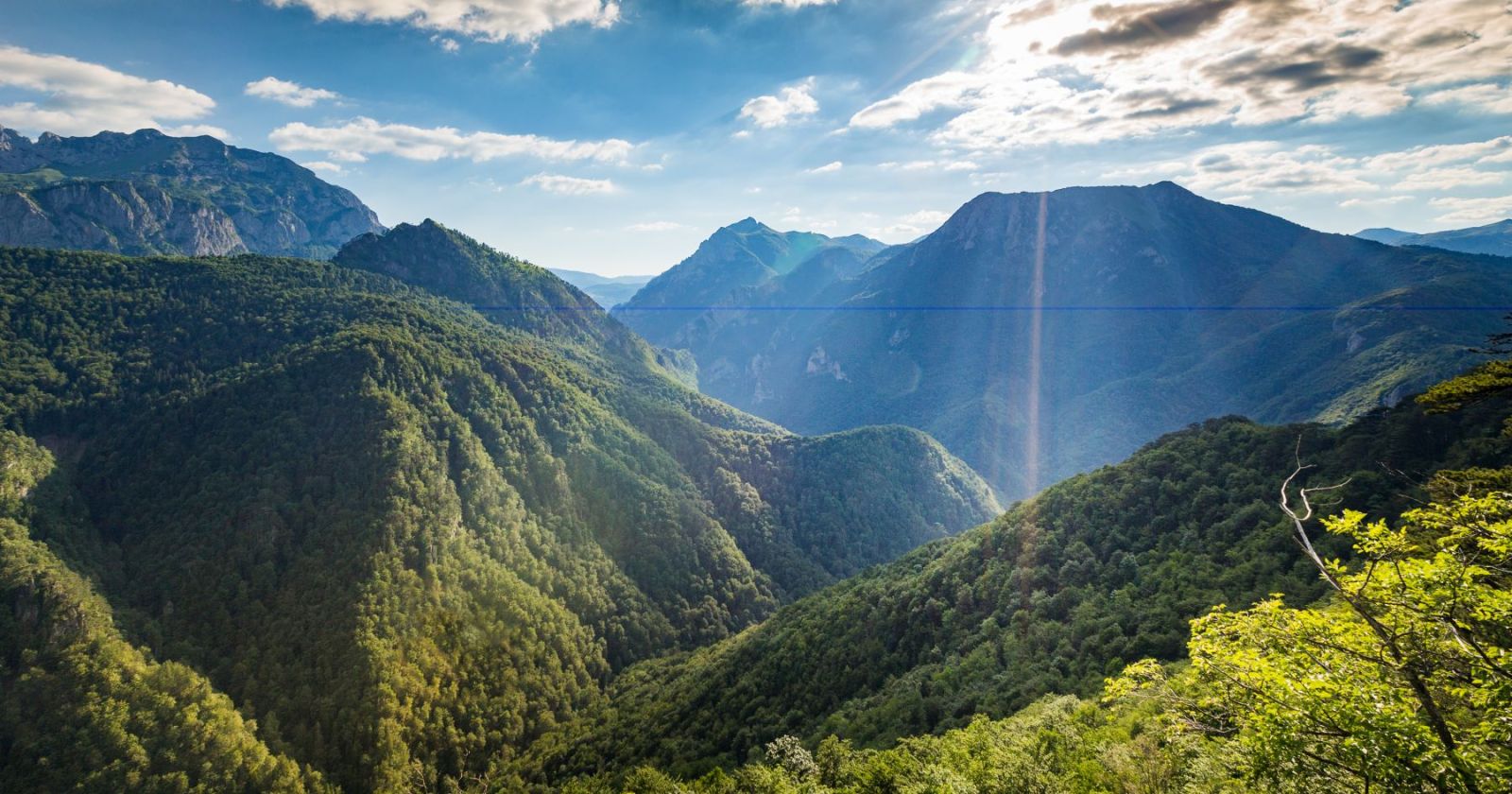 Prašuma Perućica