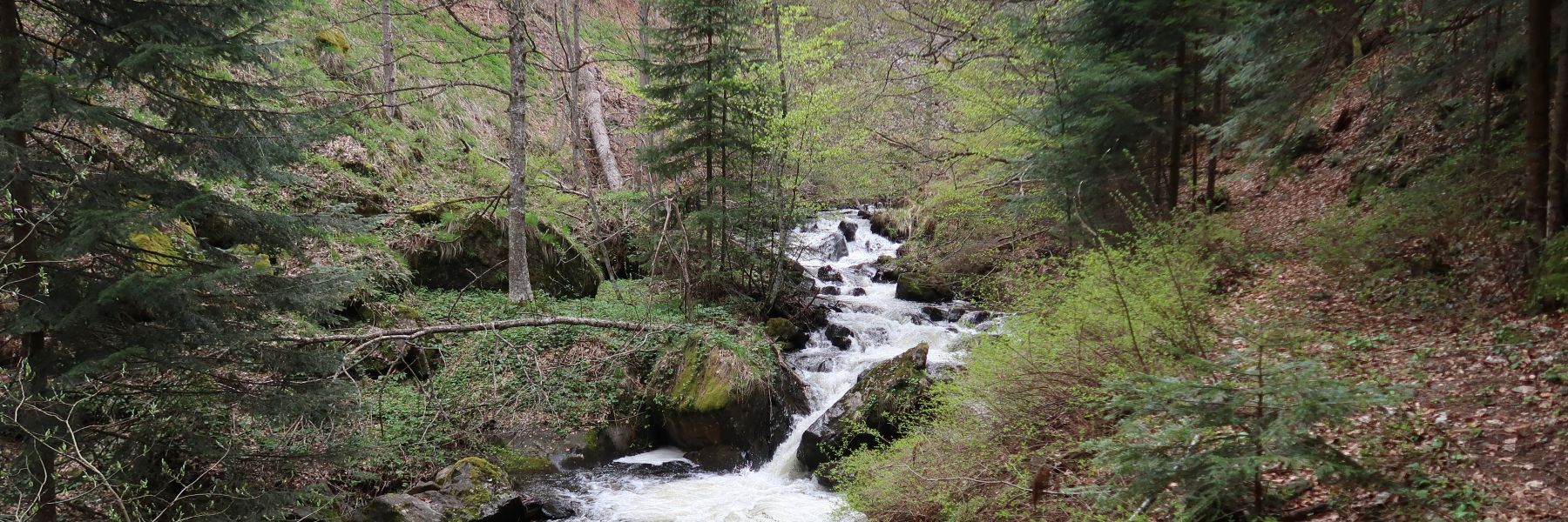 samokovska reka, kopaonik