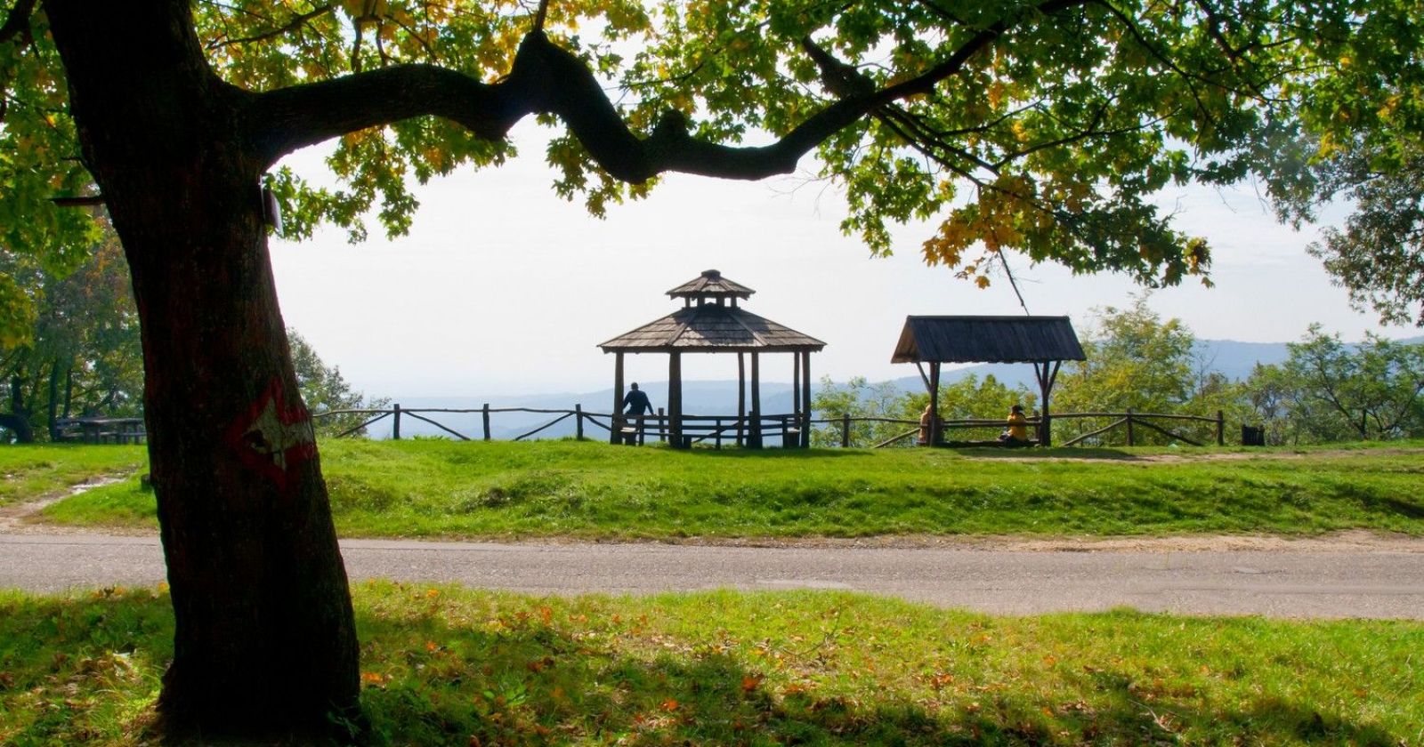 Zmajevac
