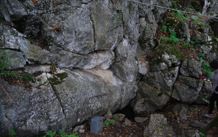 Rekovac
