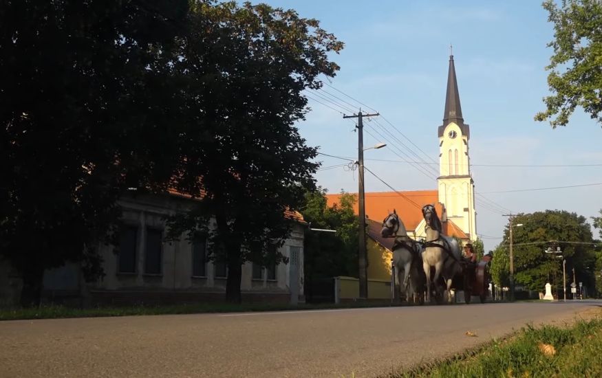 Novi Bečej