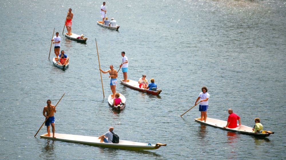 dajak, vrbas, banjaluka